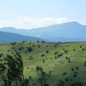 DSCN4737.JPG