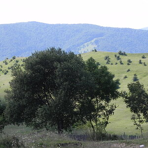 DSCN4738.JPG