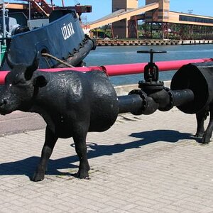 Oil Cow.jpg