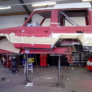 cat 005.jpg