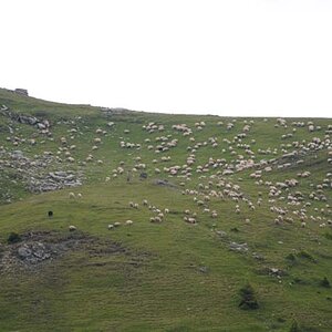66.jpg