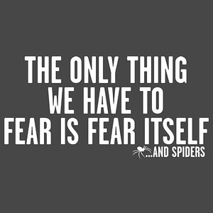 PS_1039W_FEAR_SPIDERS.jpg