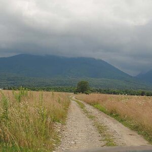 117.jpg