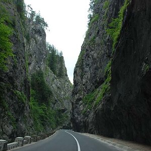 175.jpg