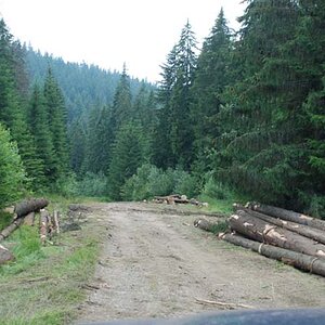 176.jpg