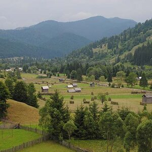 179.jpg