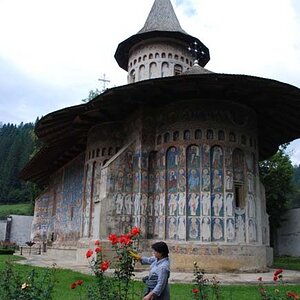 184.jpg