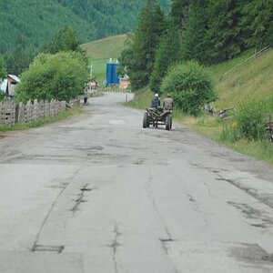 201.jpg