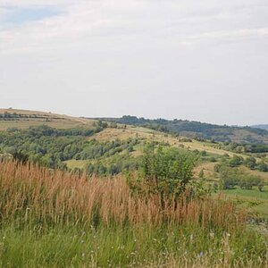 236.jpg