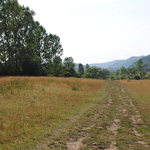 244.jpg