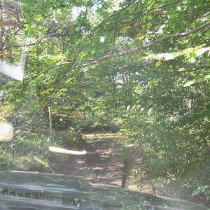 IMG_5912%u00252520%u00252528Medium%u00252529.JPG