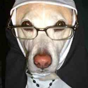 Catholic dog.jpg
