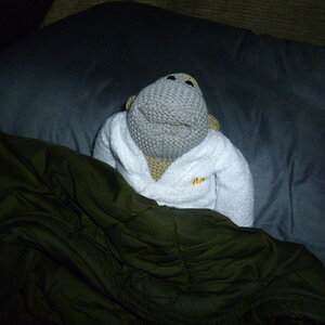 So to bed.JPG