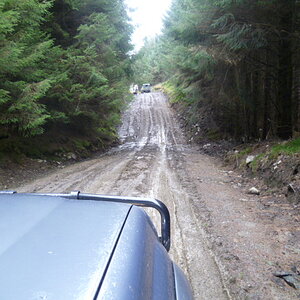Muddy tracks.JPG