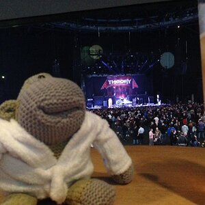 Gig 1.JPG