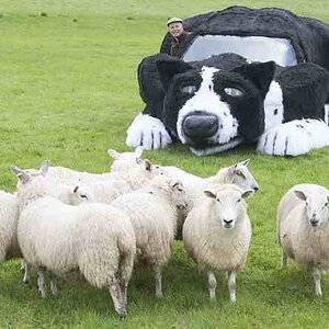 I think this must be a Lamb Rover..jpg