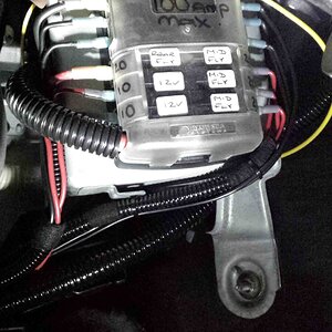20141029_142550 low res.jpg
