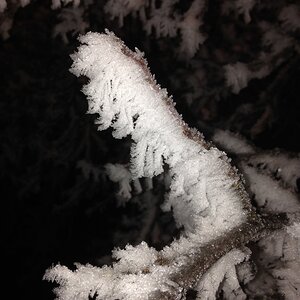 IMG_3587.JPG