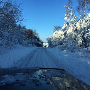 Snow 14.JPG