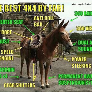 Best 4x4.jpg