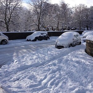 Snow_zpszobmye1y.jpg