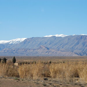 DSC_0184.JPG