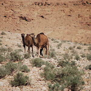 DSC_0291.JPG