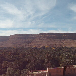DSC03175.JPG