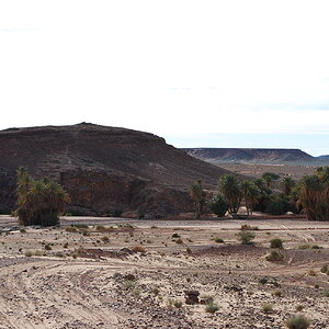 DSC_0312.JPG