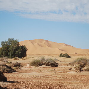 DSC_0341.JPG