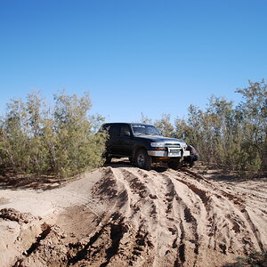 DSC_0368.JPG