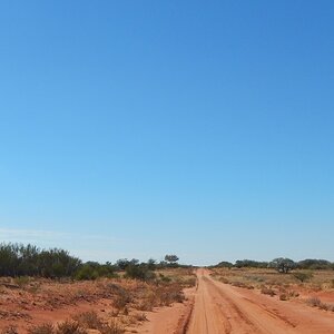 NSW