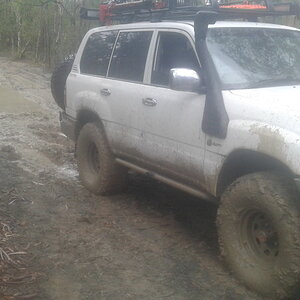 Beerburrum state forest (so bogged so much winching)