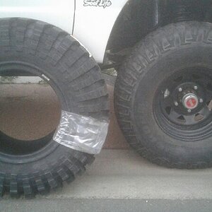 Treps & Bighorns