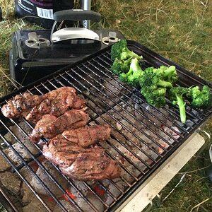 2015-05-03 19.37.33 (Large).jpg