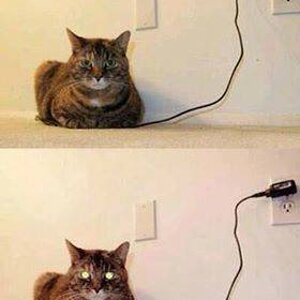 Fully charged.jpg