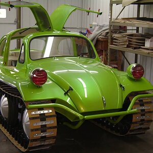 Thats no Beetle. Its a caterpillar..jpg