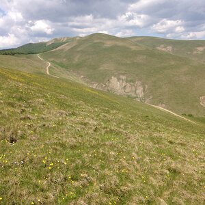 IMG_4618.JPG