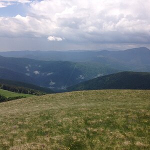 IMG_4620.JPG