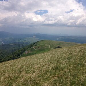 IMG_4629.JPG