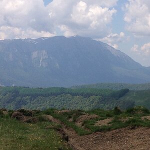 IMG_4639.JPG