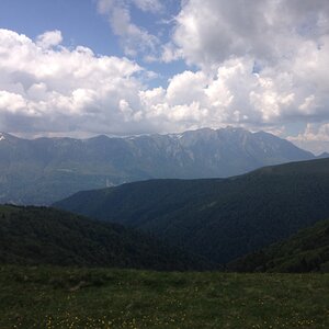 IMG_4646.JPG