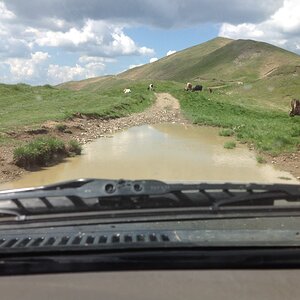 IMG_5069.JPG