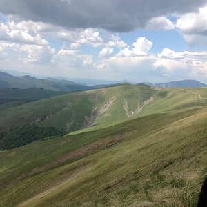 IMG_5072.JPG