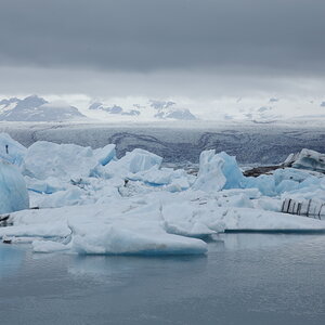 _MG_4423.JPG