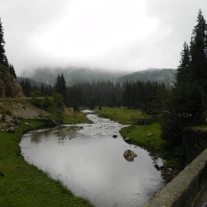 DSCN7222a.JPG