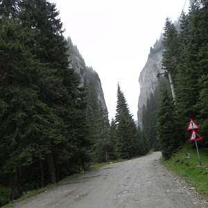 DSCN7223a.JPG