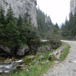 DSCN7225a.JPG