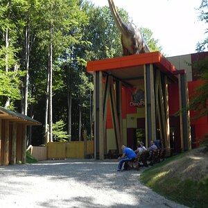 DSCN7301.JPG