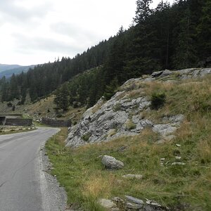 DSCN7536.JPG